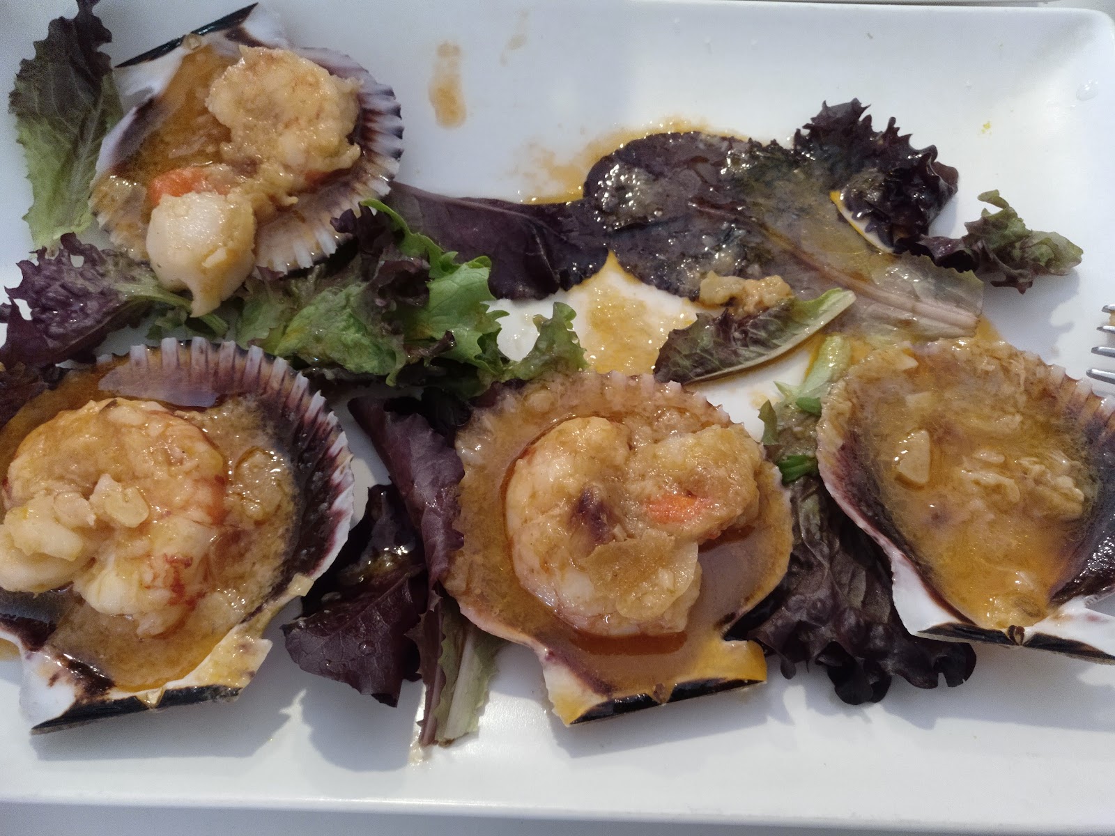 Zamburiñas en su concha con gambas y salsa, sobre hojas de lechuga